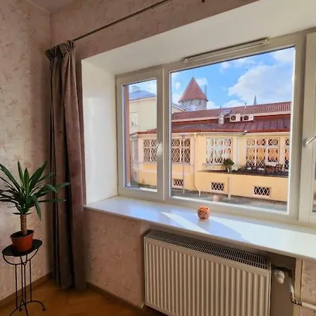 Spacious Old Town In Heart Of Appartement